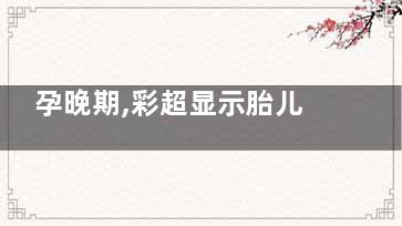 孕晚期,彩超显示胎儿颈部见u型菜很投细往频区扩切迹 25周，胎儿颈部见u型切迹,后颅窝深1cm